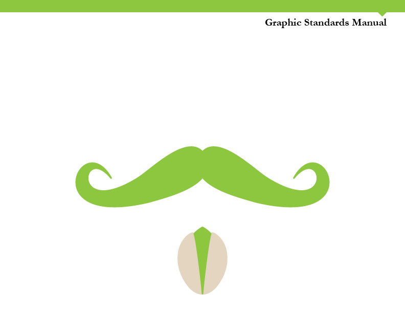 Graphic Standards Identity Design Layout Design pistachio