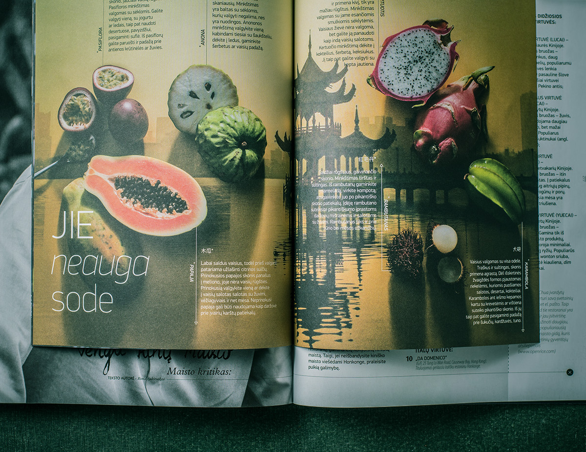 Adobe Portfolio Culinary magazine editorial jungle of taste Food  Travel cuisine