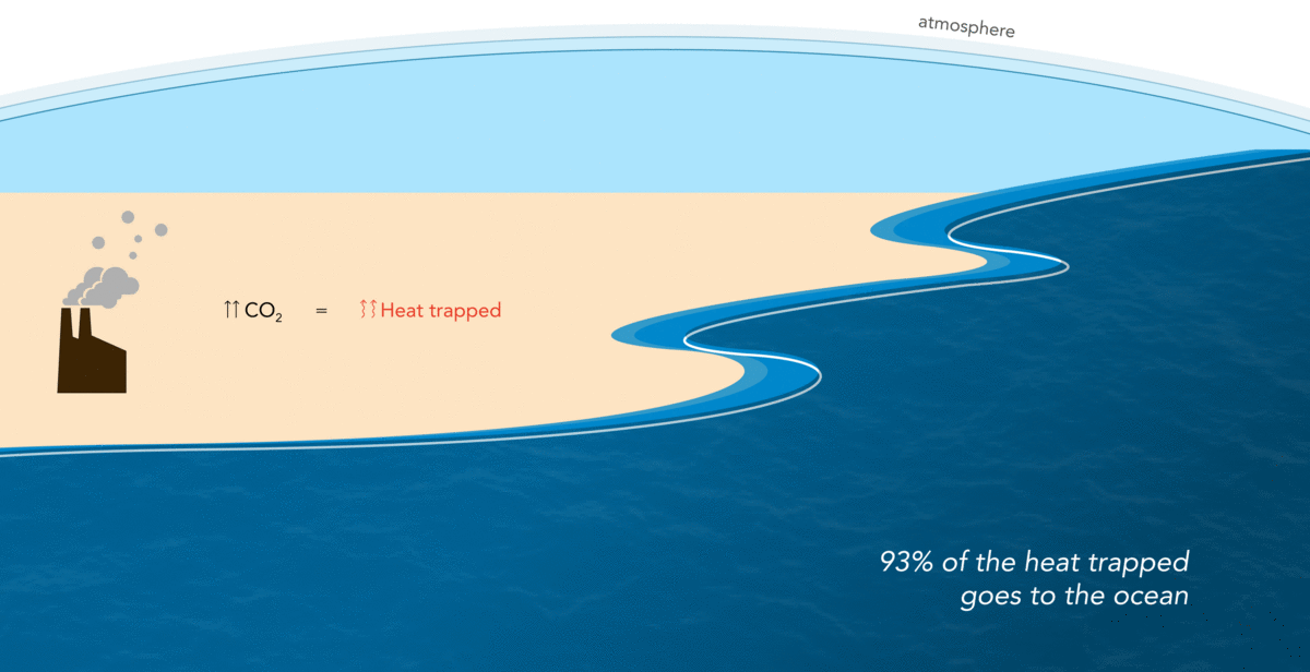 data visualization infographic coral climate change environment Figma research Case Study information design