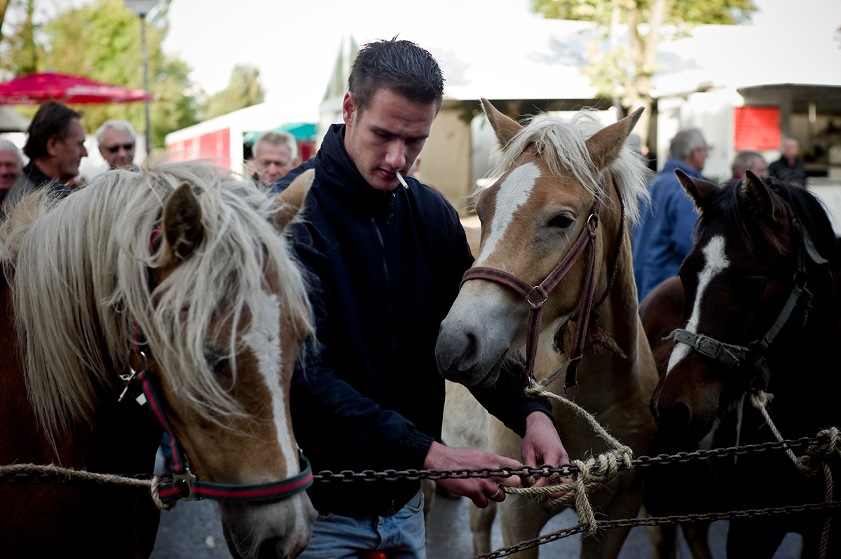 Rodermarkt  paardenmarkt  ponys  feest  jaarmarkt  Drenthe 