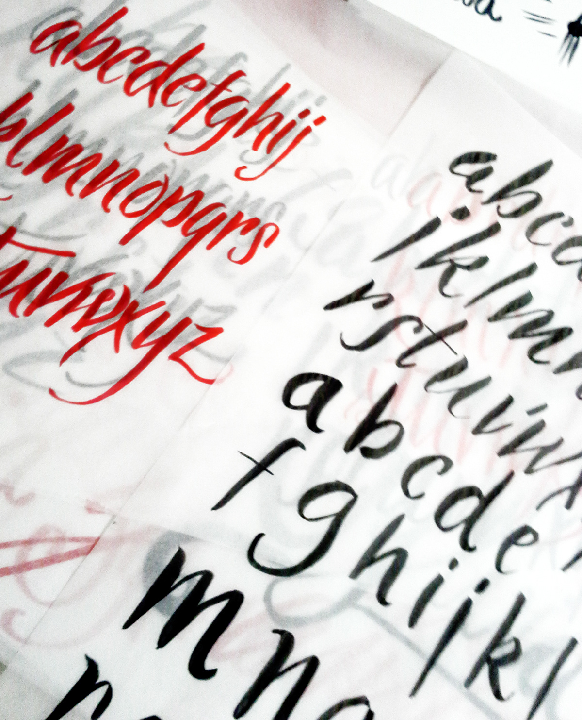 lettering beziers Workshop TicklingBeziers handmade analog vector