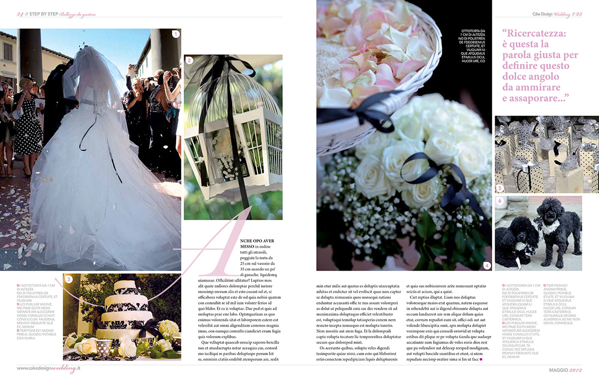 cake design wedding grafica editoriale Progetto testata nuova Logotipo di Testata Grafihe e griglie Layout