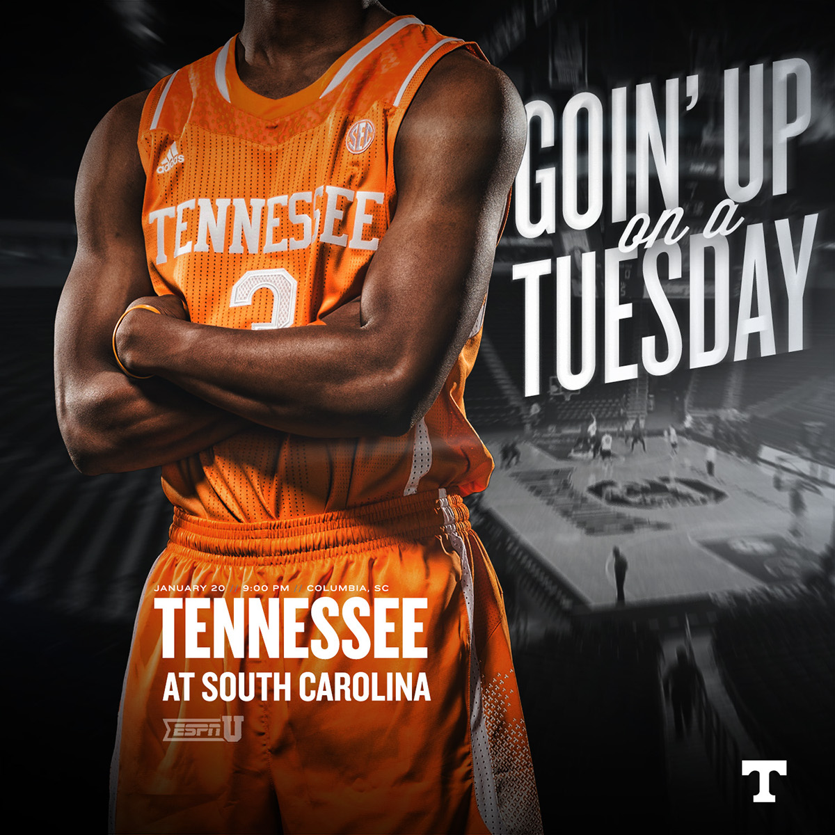 Adobe Portfolio Tennessee basketball Donnie Tyndall vols Knoxville college baskertball sports UT