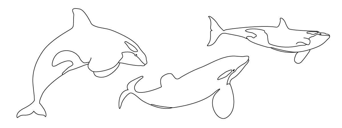aquarium line drawing