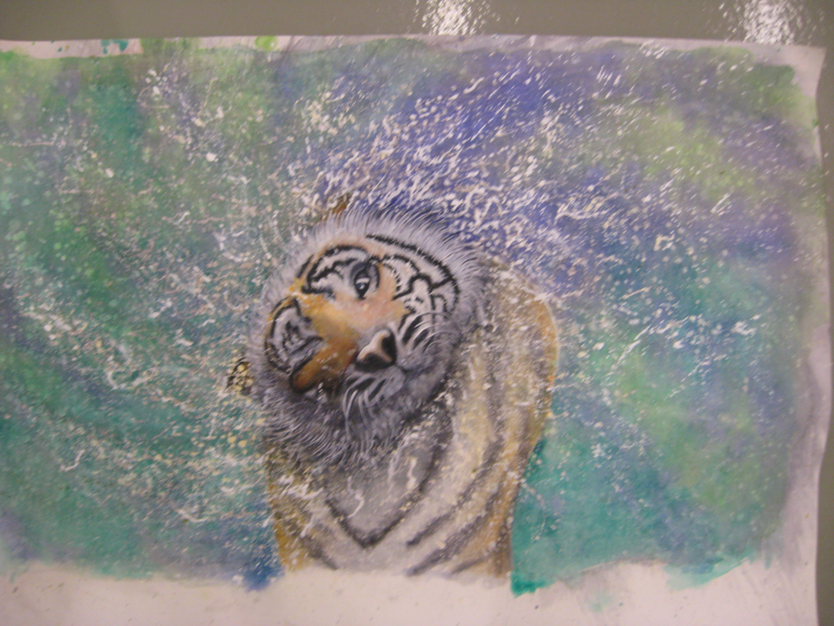 tiger water watercolor jasonjameshowell Fresno California animals wet colorful prints Stretched Canvases