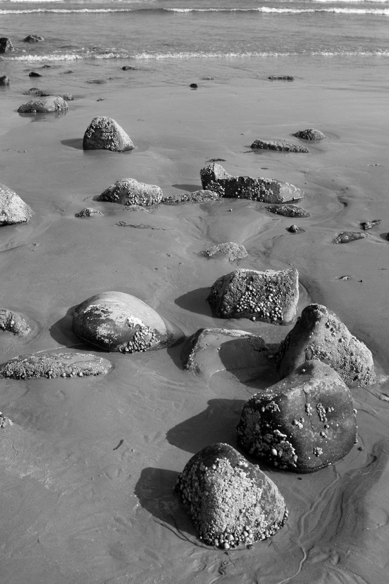 rocks humans Maine Ocean beach Coast humanity Nature