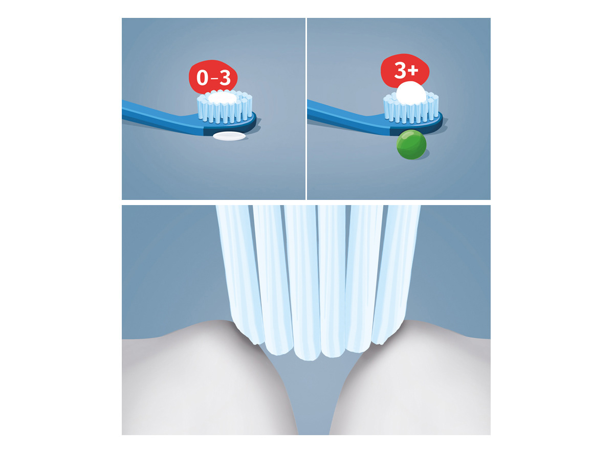 Gebiss Infozeichnung Medizin zähne Zahnmedizin Zahnpflege