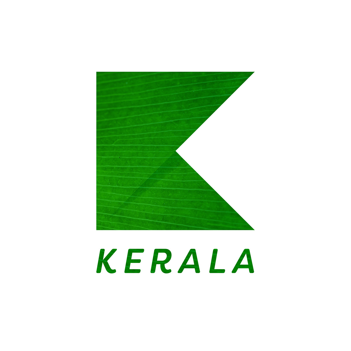 Adobe Portfolio branding  Logo Design graphic design  kerala India