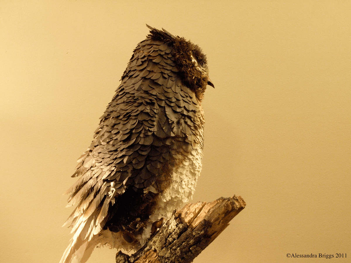 owl great horned Alessandra Briggs 3D paper copper glass bird bird of prey sculpture
