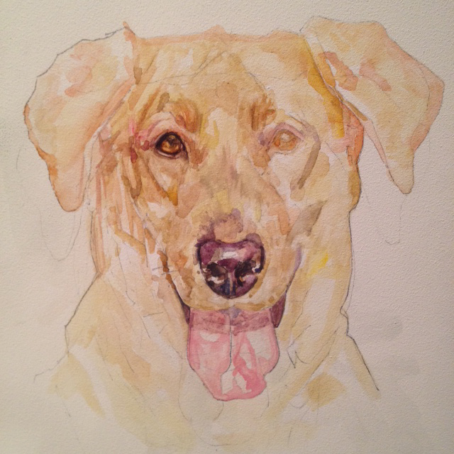 Labrador dog watercolor aquaboard aquabord yellow animal domestic Pet Hunting