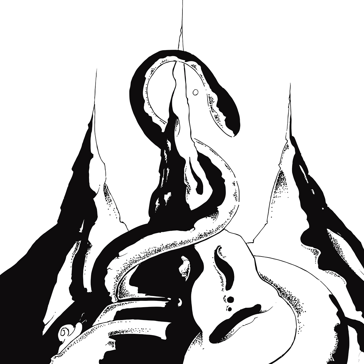 Reptilian Reimagined Subatomica Remixing promo work album cover