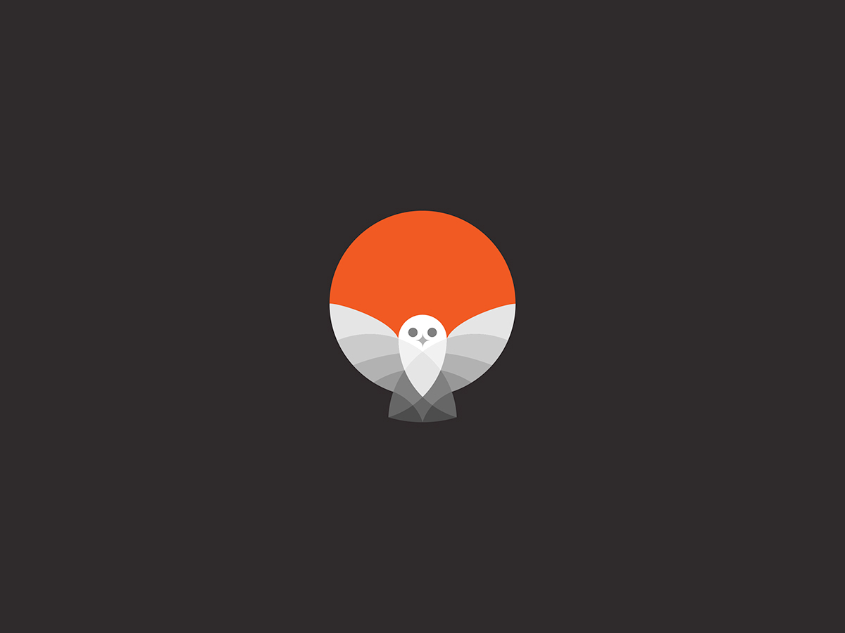 logo mark symbol identity brand design Nature animal swan stork eagle falcon owl earth Fly