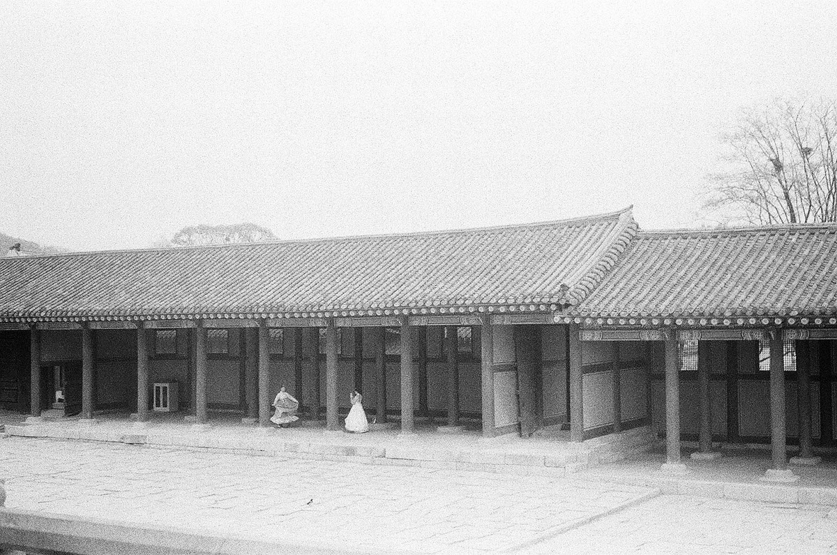 black and white Photography  culture Travel history seoul South Korea Film   film photography analog