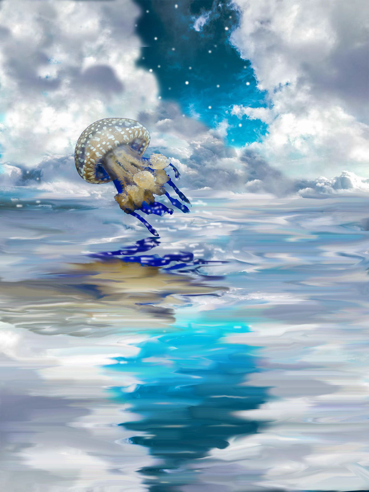 jellyfish surreal Photo Manipulation  photoshop ILLUSTRATION  Ocean stars SKY mysterious whimsical