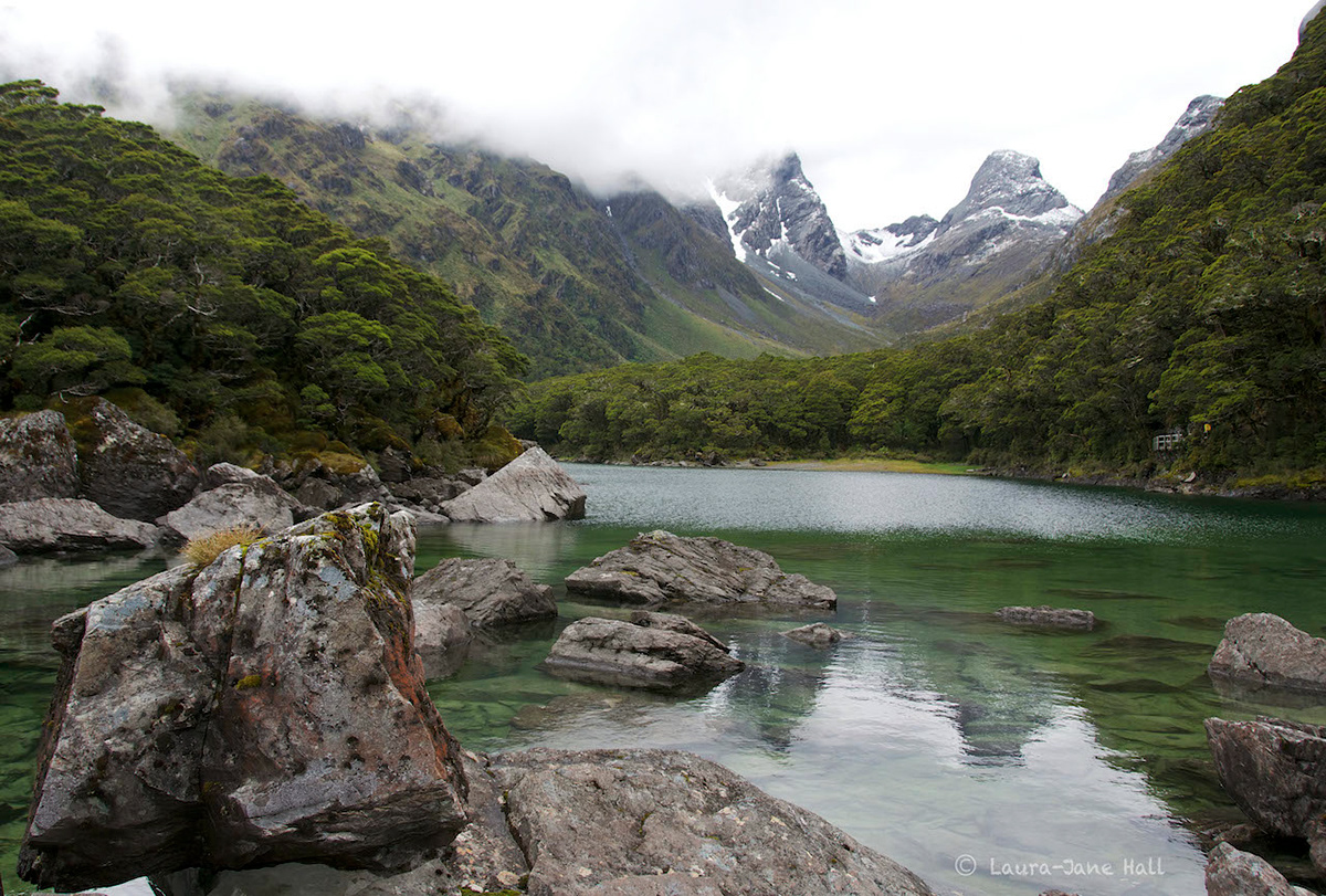 New Zealand Aotearoa NZ countryside mountains snow tramping lake moss trees water view scenery Landscape rock