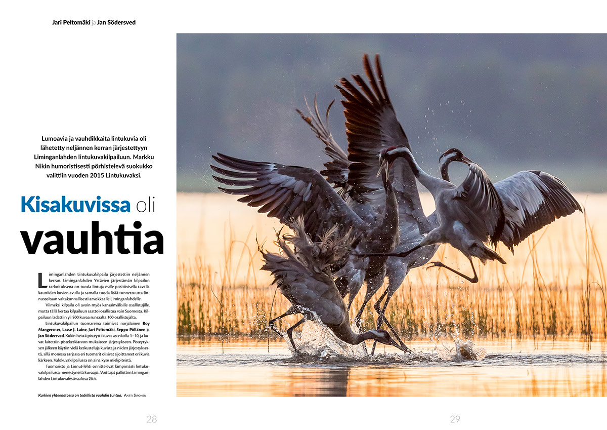 BirdLife Finland linnut magazine