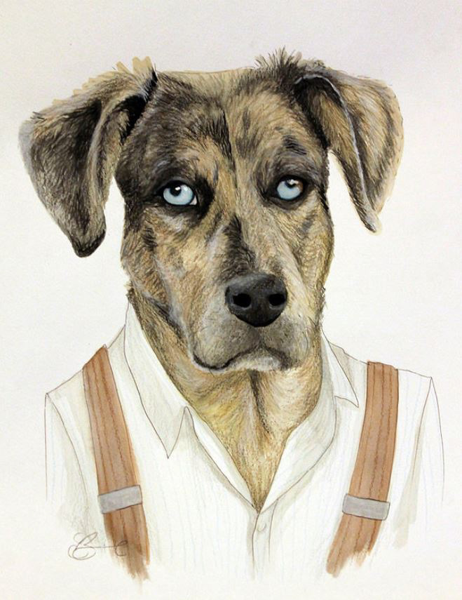 animals portrait humor vintage kitsch watercolor ink colored pencil pets dog Cat Commissioned personal art