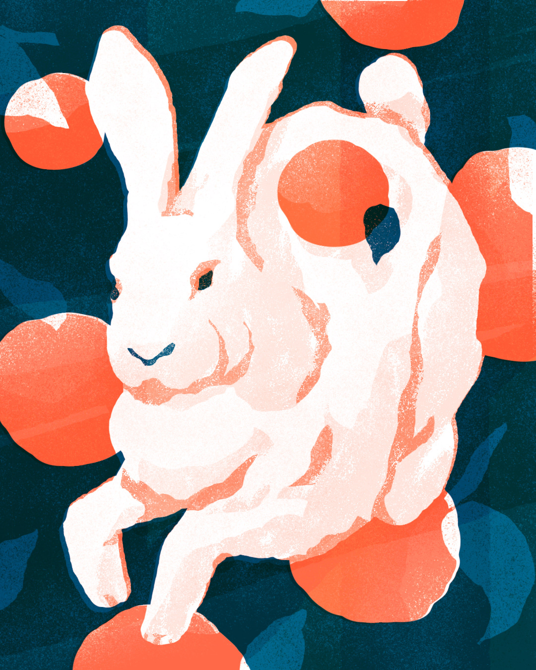 Digital Art  digital illustration Drawing  editorial ILLUSTRATION  Lunar New Year rabbit Riso sketch
