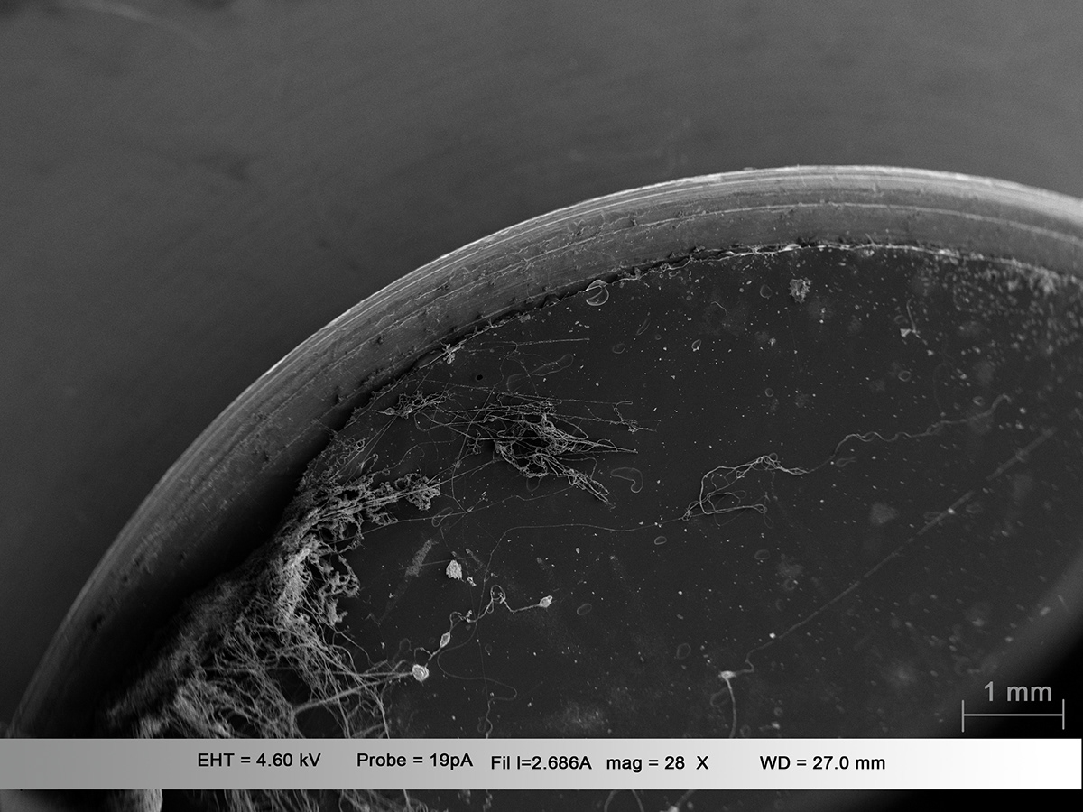 nanotechnology digital imagin characterisation microscope