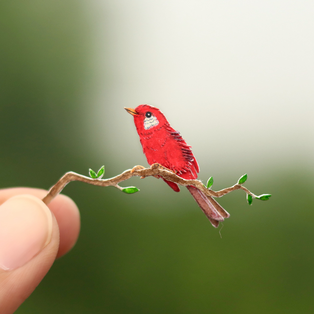 paperart Miniature Behance ILLUSTRATION  bird art watercolor paper craft wildlife art Photography  Bird Illustration