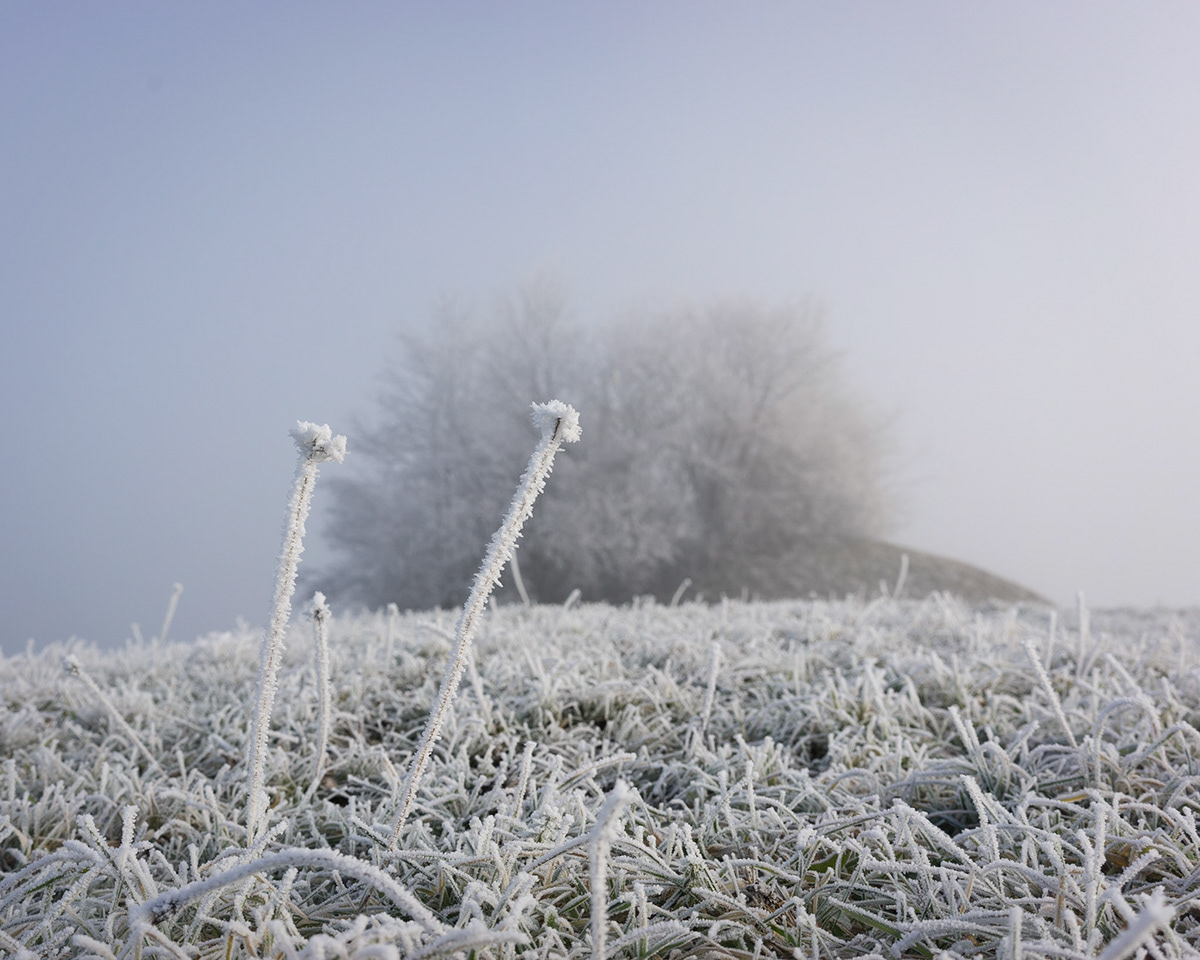winter hoarfrost Switzerland Zurich Oberland white frost MORNING Nature Magic  