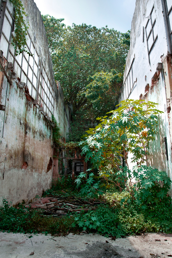 Dilapidation abandoned ruins urbanism   penang Manifestations ruination tension
