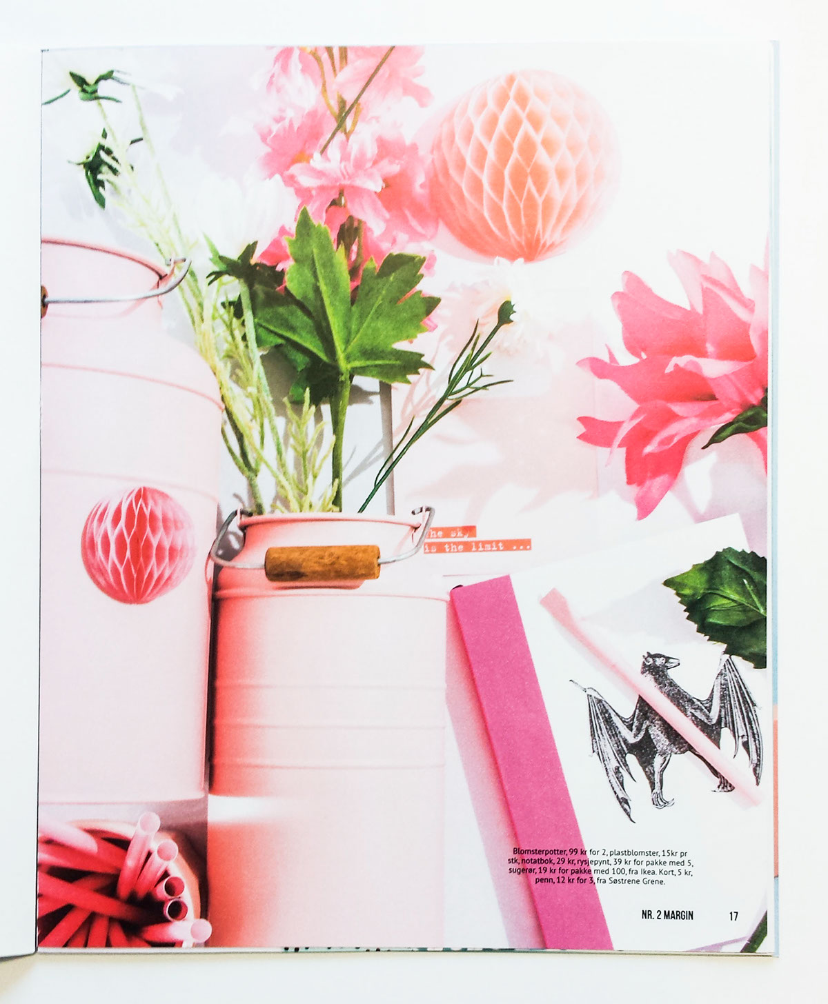 paint design magazine graphic Layout iPad digital mag print photo editorial tablet