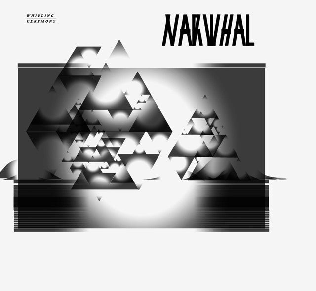 narwhal  videoclip music video
