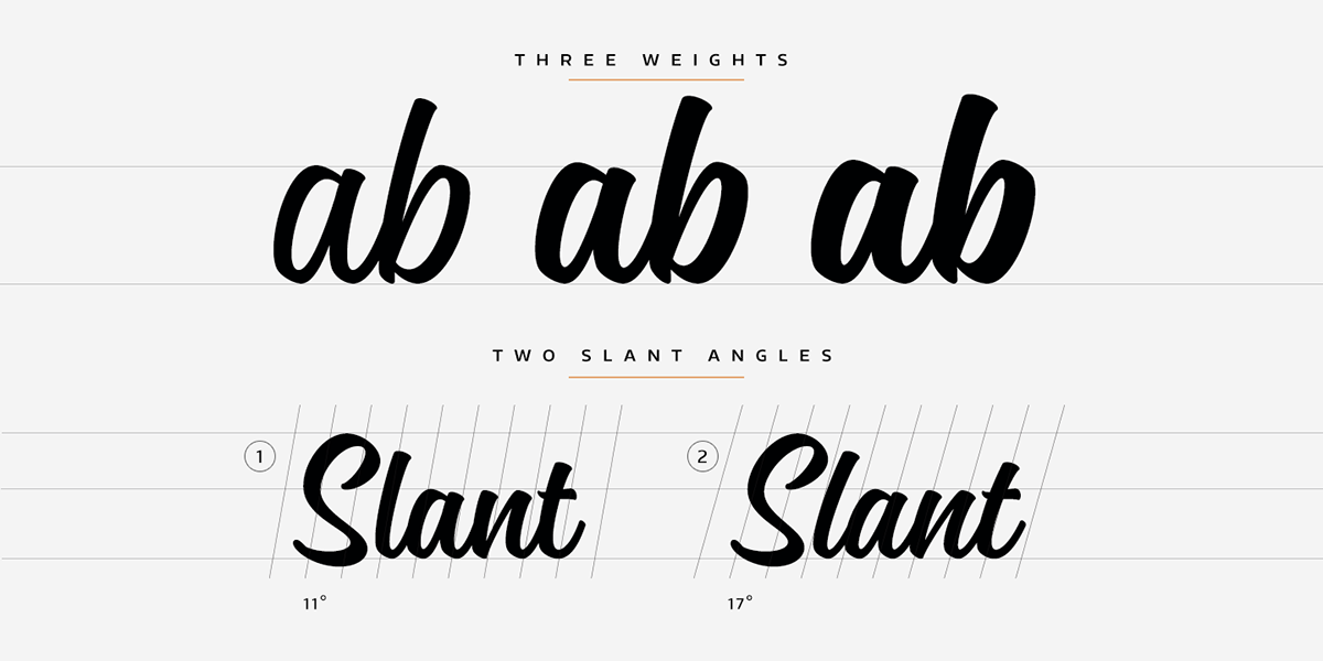 font Typeface Script brush script lettering