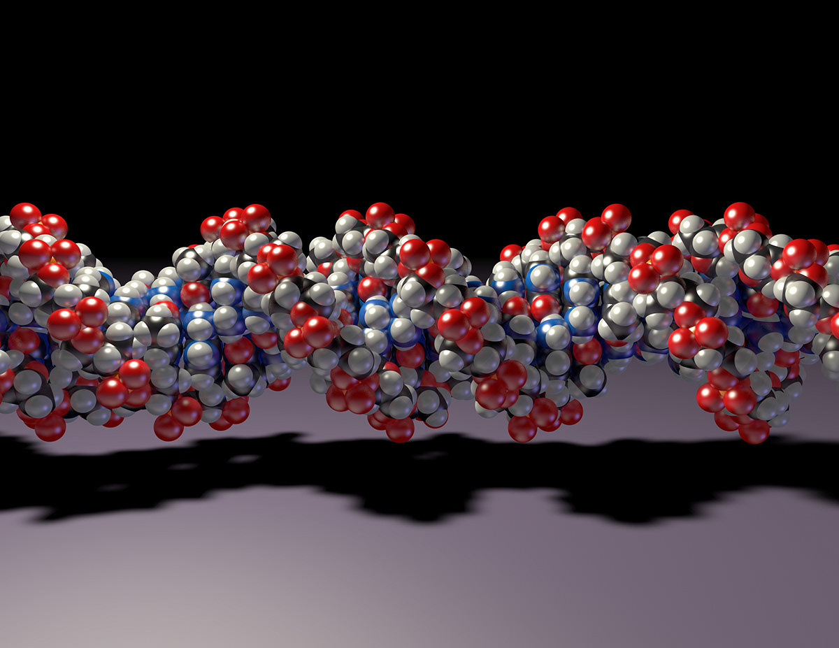 molecule protein DNA cinema 4d Illustrator Scientific Visualization medical illustration