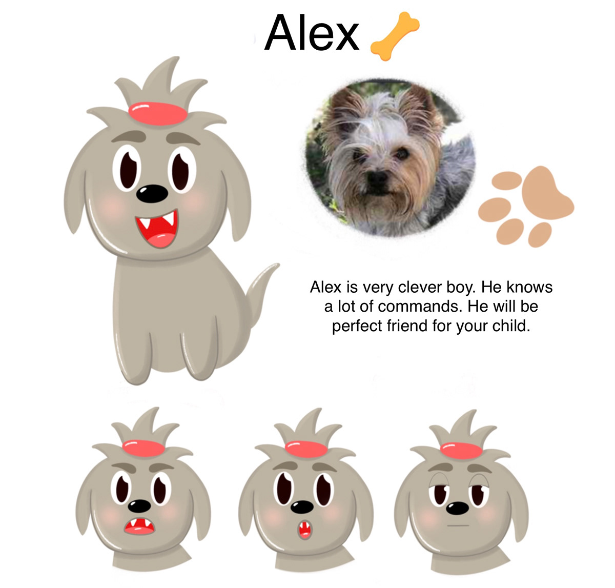 animal Character design  digital illustration dog Drawing  ILLUSTRATION  kennel Mascot mascot design shelter