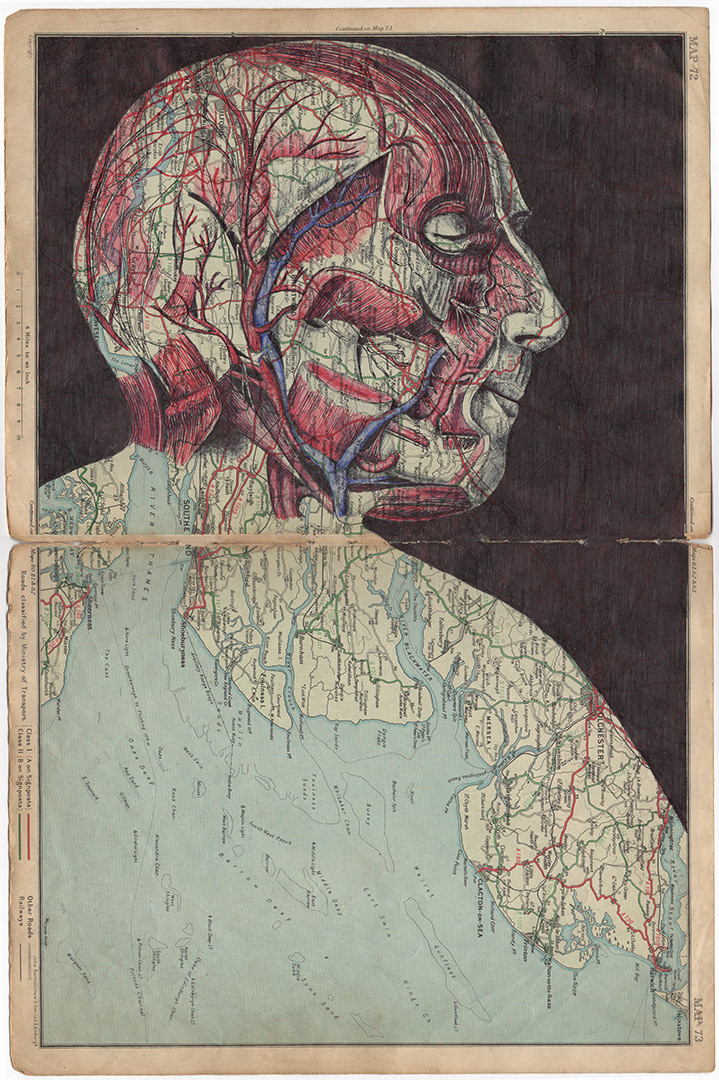 bic biro ballpoint pen art mark powell vintage anatomy map