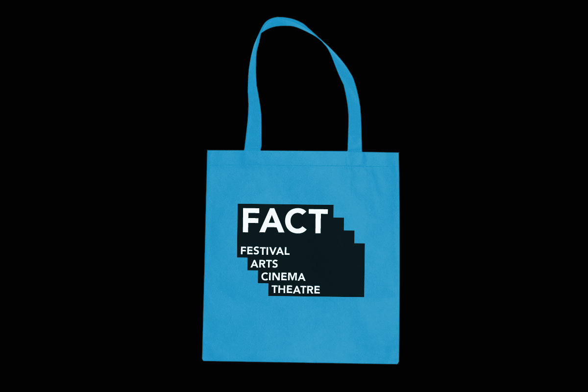 fact festival arts Cinema Theatre szfe grid gridsystem pattern cyan