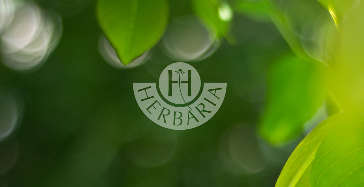 RENATO molnar sopron AMI Label herbaria herbal print design product