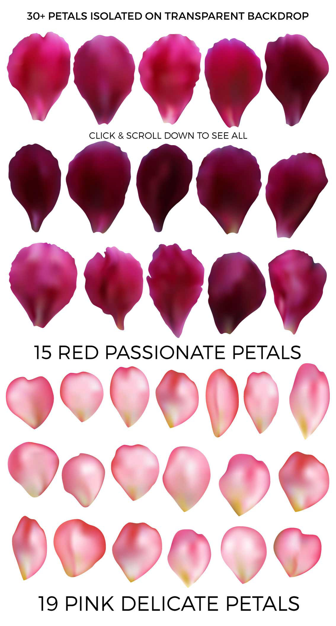 rose petals Falling petals background constructor red pink flying petals valentine day wedding cosmetic packaging