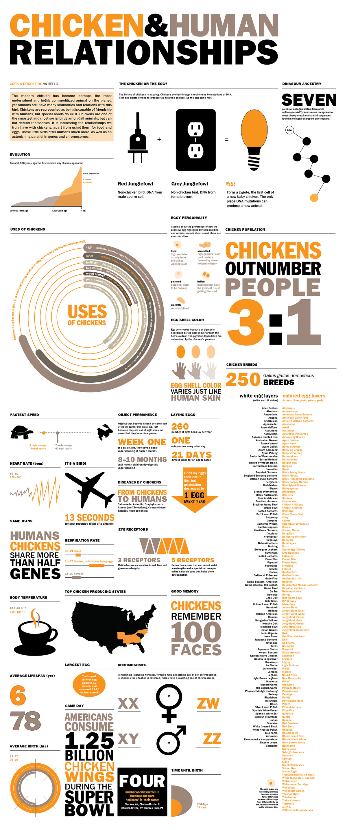 infographic information animal human research infograph relationship design info Facts series long thesis student zoo