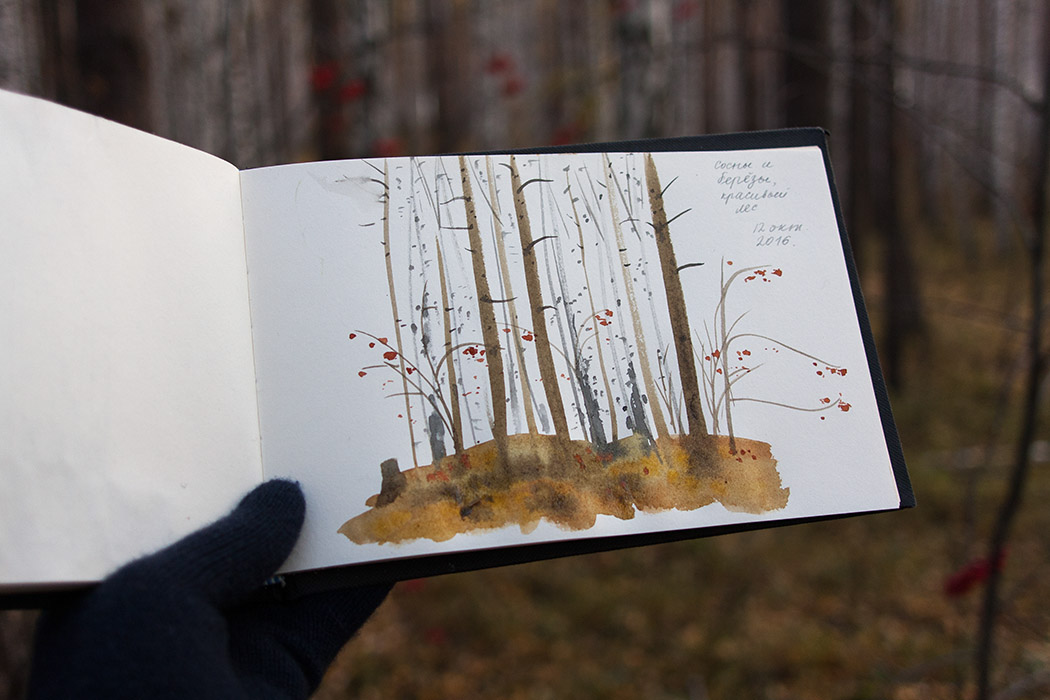 Nature sketch forest