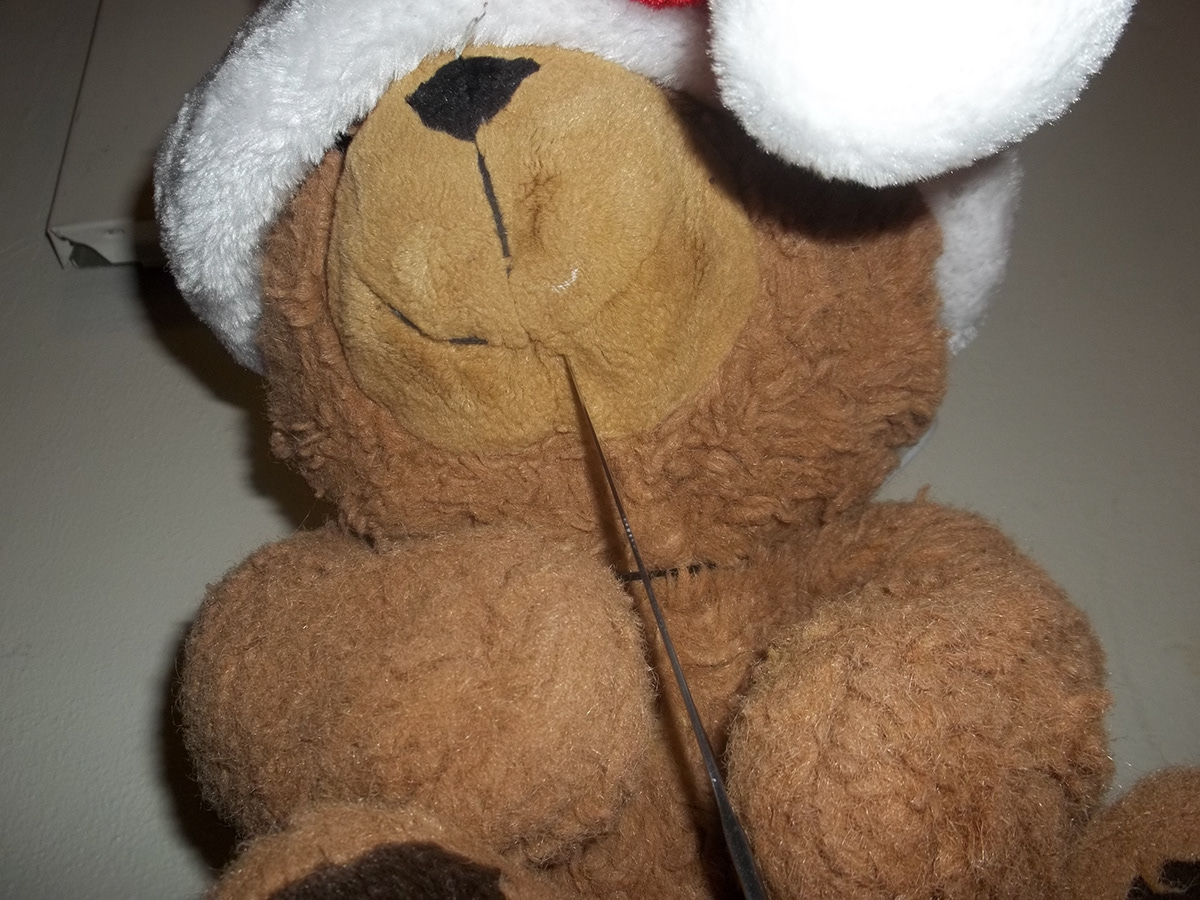 teddy bear suicide death bored