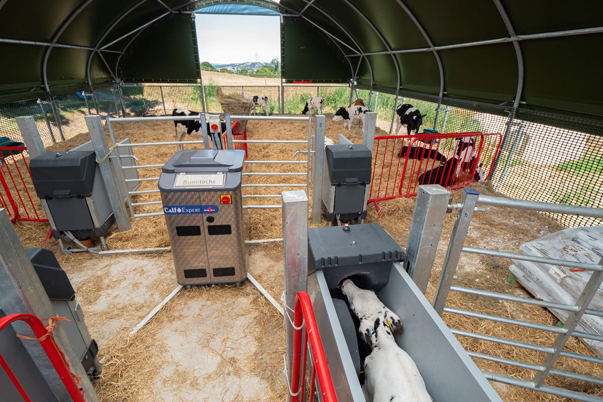 Livestock Housing Sheep Housing poultry housing Calf Housing Chicken Rearing Container canopies