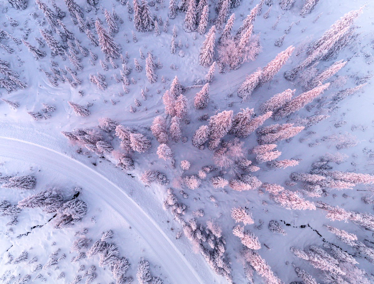 Aerial drone Lapland finland winter Landscape forest
