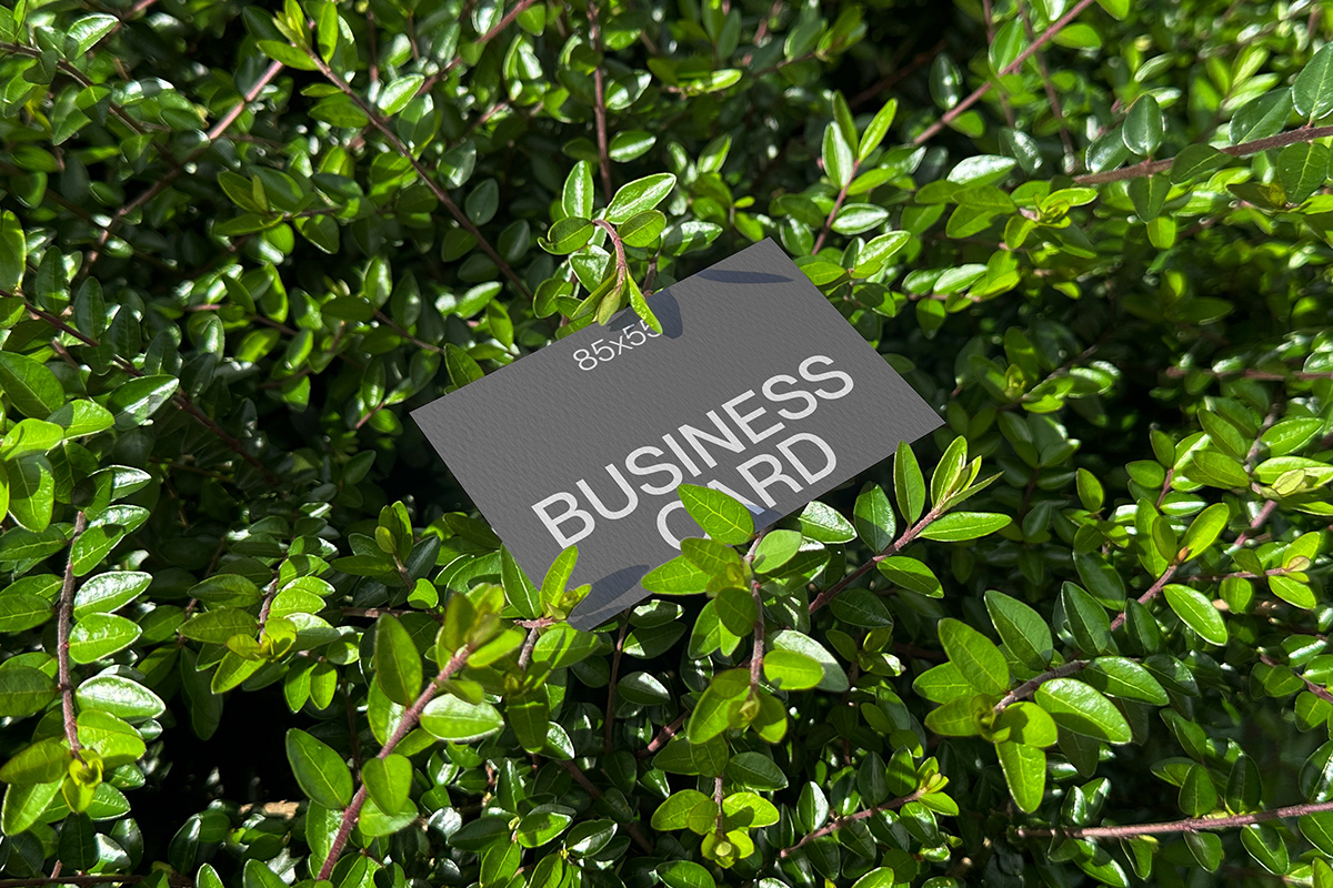 business card Business card design business card mockup Mockup mockups mockup design branding  visual identity Advertising  Graphic Designer