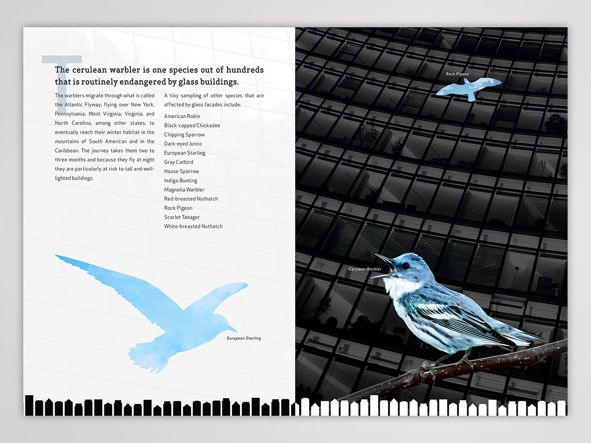 pattern bird logo identity Booklet stationary book catalog