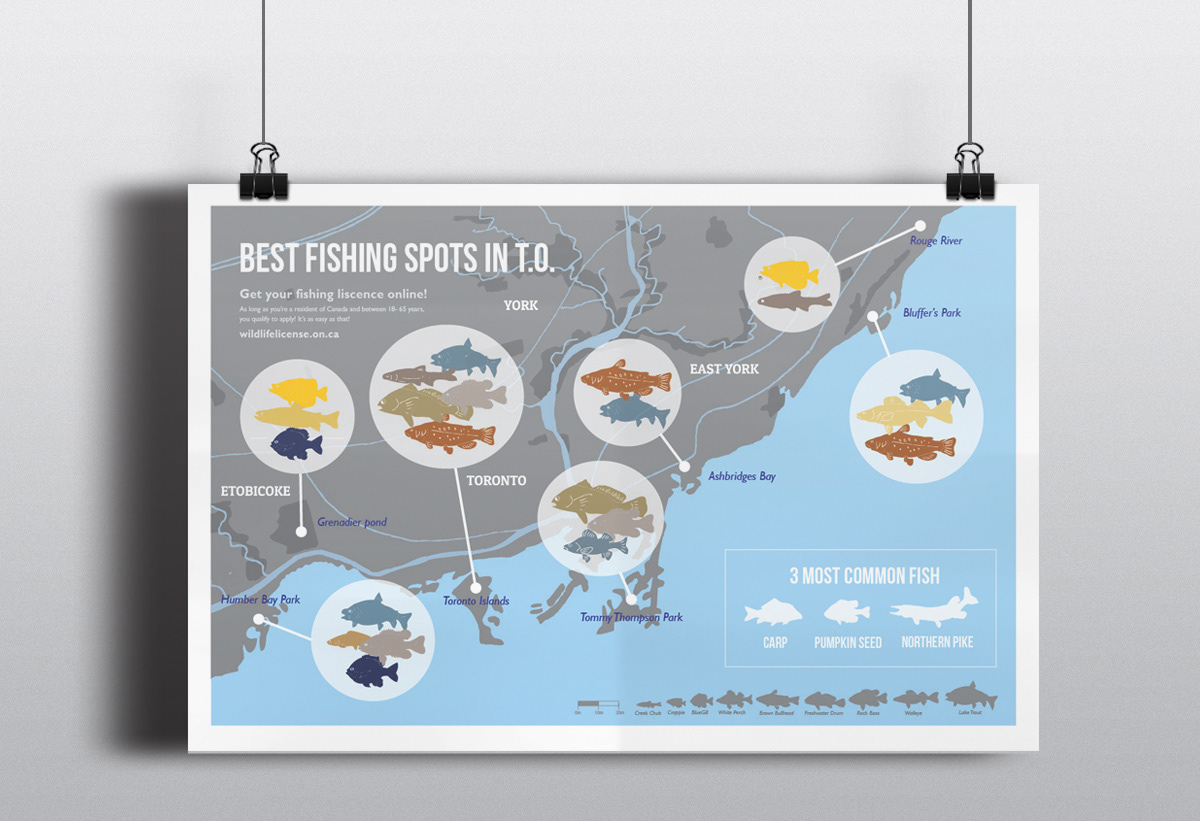infographic fish fishing Toronto pond lake adaa_2015 adaa_school ot ADAA_Country Canada adaa_illustration