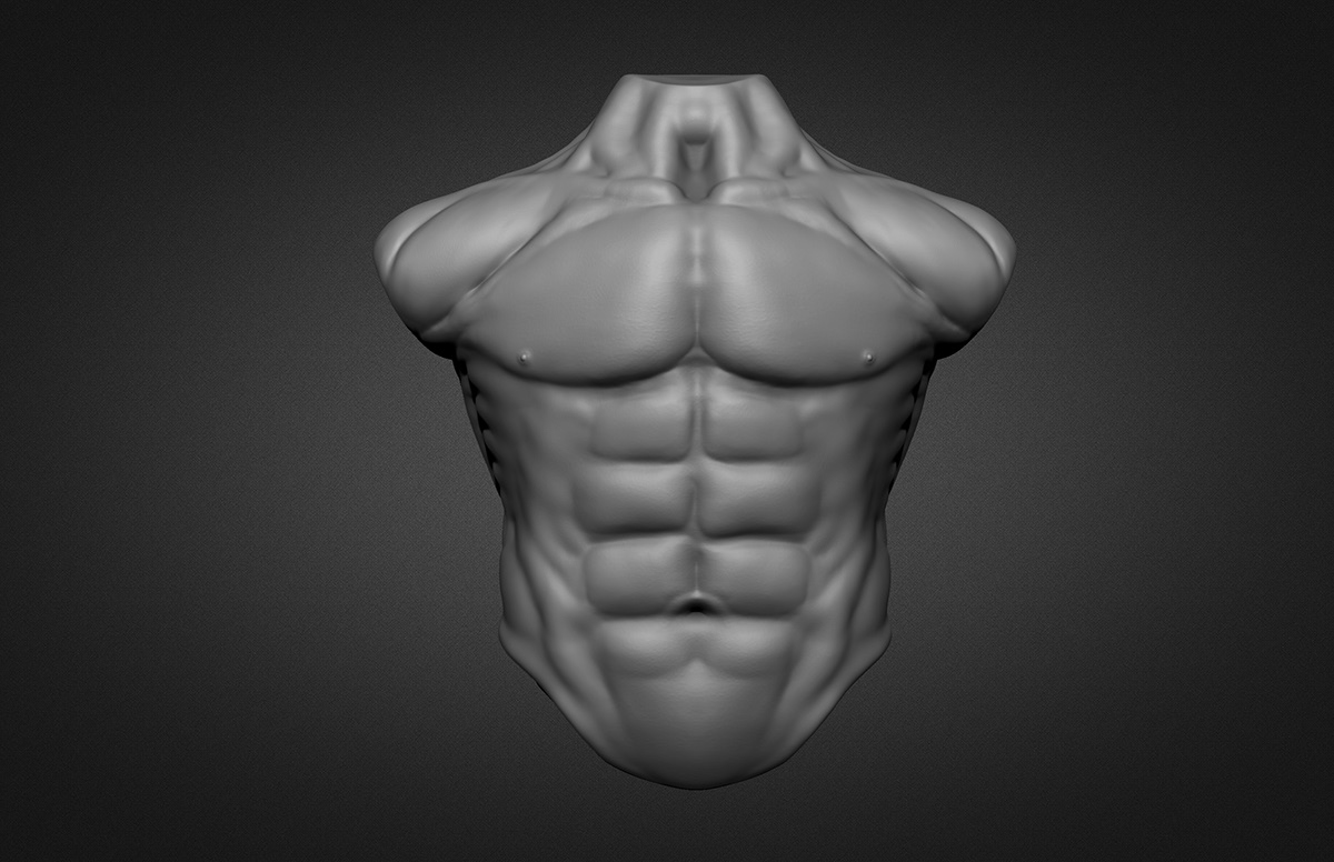 Sculpt Zbrush 3d modeling Character anatomy Torso human male muscle Film   vfx