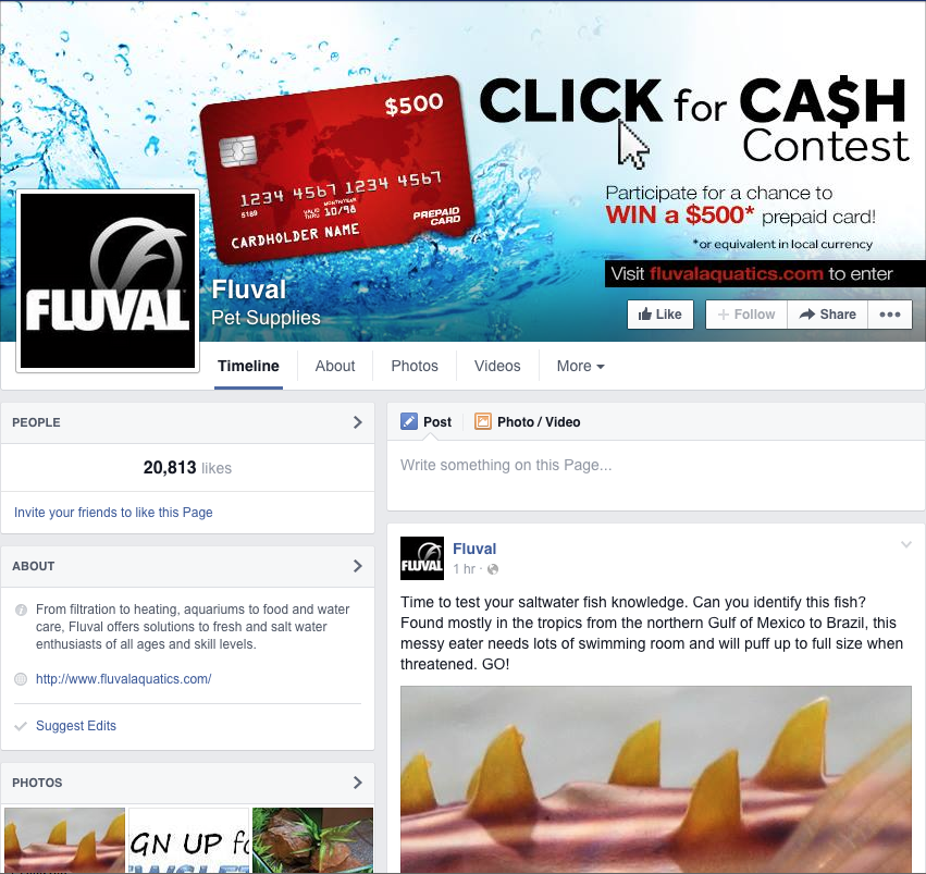 newsletter contest cash fish Discus Treating Fluval Web Banners online graphic visual watch read enter win