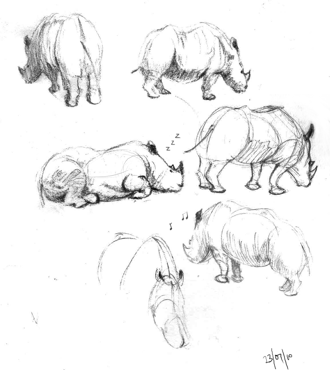 animals sketches tiger Rhinoceros Hippopotamus animal drawings
