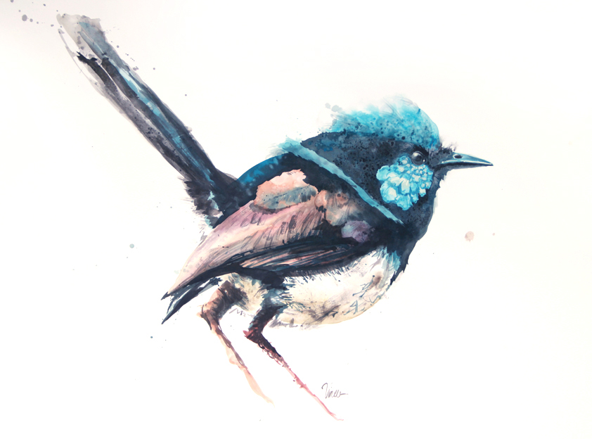 watercolor bird animal