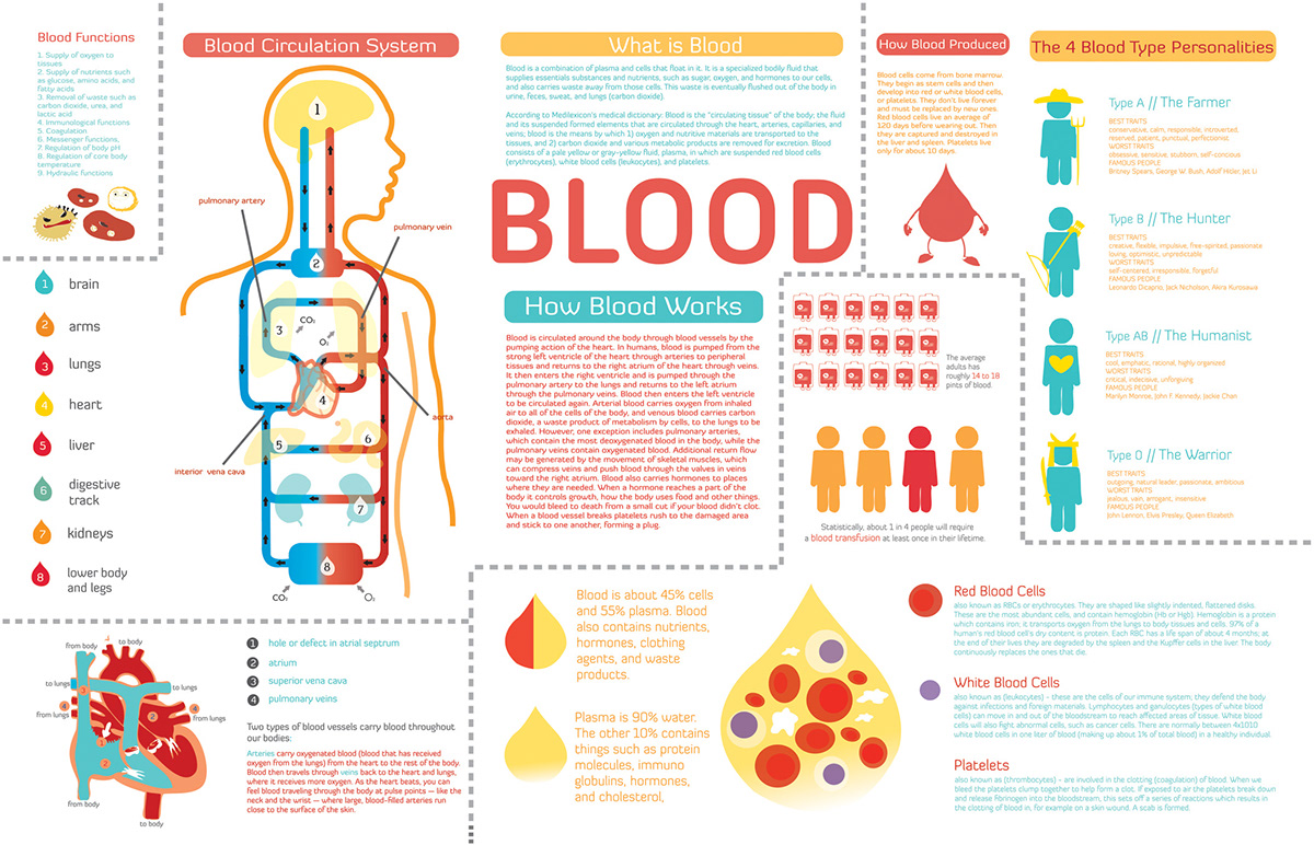 infographic blood