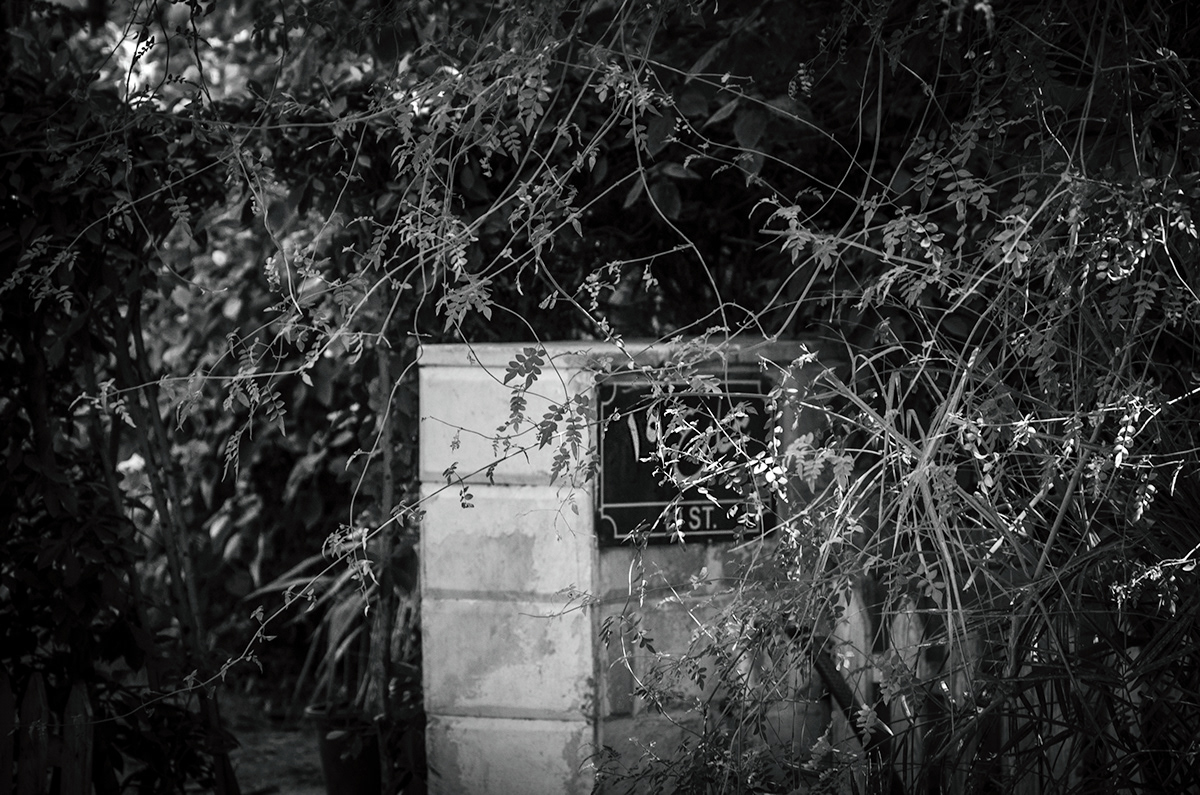 maadi egypt black and white places quiteness streets street photography silence Nikon nikon d7000