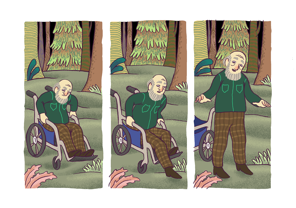 old man Cat Comic Book short story forest trees Park caretaker